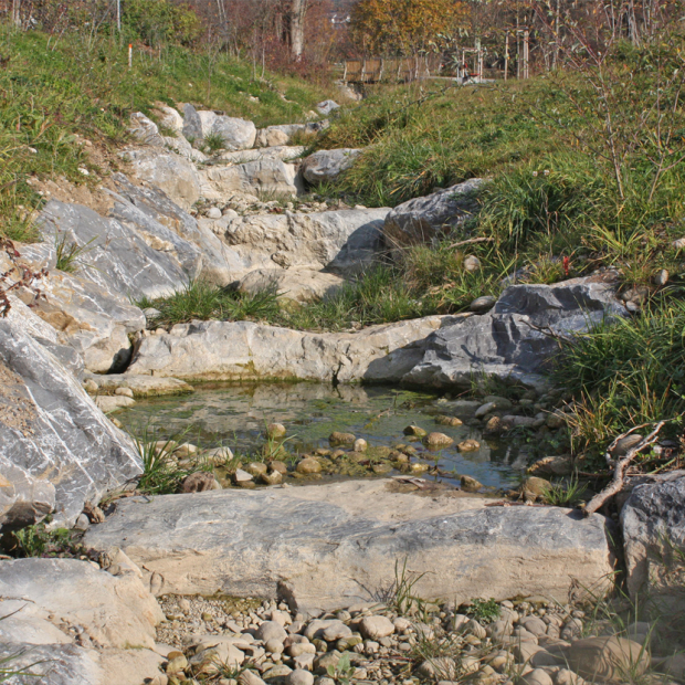 Fluss
