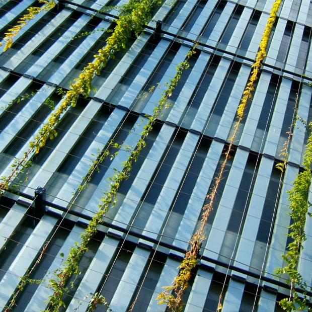 Adaptation to Climate Change in the City of Zurich