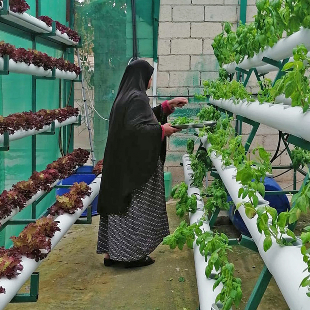 Social Water Entrepreneurship